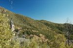 photo thumbnail #13