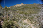 photo thumbnail #14