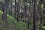 photo thumbnail #5