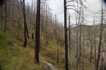 photo thumbnail #10