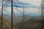 photo thumbnail #11