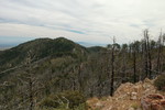 photo thumbnail #13