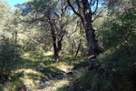 photo thumbnail #6