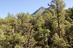 photo thumbnail #11