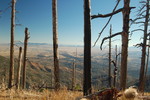 photo thumbnail #10