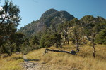 photo thumbnail #3