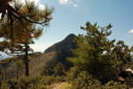 photo thumbnail #14