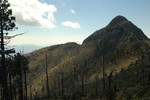 photo thumbnail #15