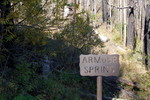 photo thumbnail #13