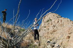 photo thumbnail #10
