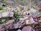 photo thumbnail #1
