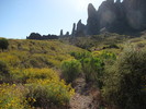 photo thumbnail #4