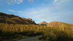 photo thumbnail #5