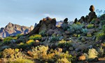 photo thumbnail #8