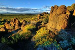 photo thumbnail #9