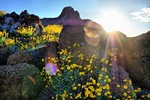 photo thumbnail #10