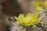 photo thumbnail #10