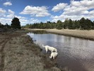 photo thumbnail #12
