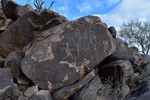 photo thumbnail #2