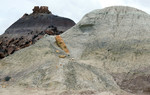 photo thumbnail #3
