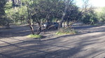 photo thumbnail #1