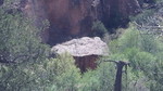 photo thumbnail #13