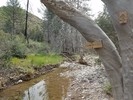 photo thumbnail #7