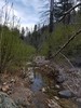 photo thumbnail #8