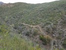 photo thumbnail #10