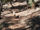 photo thumbnail #2