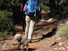 photo thumbnail #3