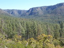 photo thumbnail #8