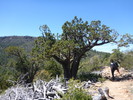 photo thumbnail #9