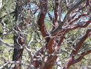 photo thumbnail #11