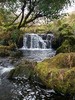 photo thumbnail #14