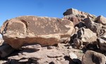 photo thumbnail #4