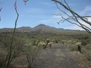 photo thumbnail #14