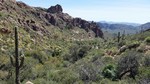 photo thumbnail #7