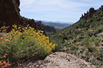 photo thumbnail #14