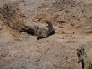 2017-04-02 :1: Flatiron Hike - Superstitions :: astrobrewer