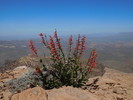 photo thumbnail #11