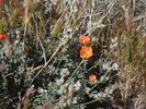 photo thumbnail #12