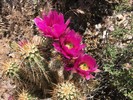 photo thumbnail #7