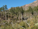 photo thumbnail #5