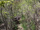 photo thumbnail #11