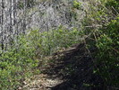 photo thumbnail #13