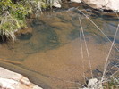 photo thumbnail #15
