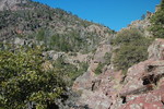 photo thumbnail #11