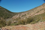 photo thumbnail #15