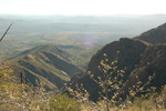 photo thumbnail #9